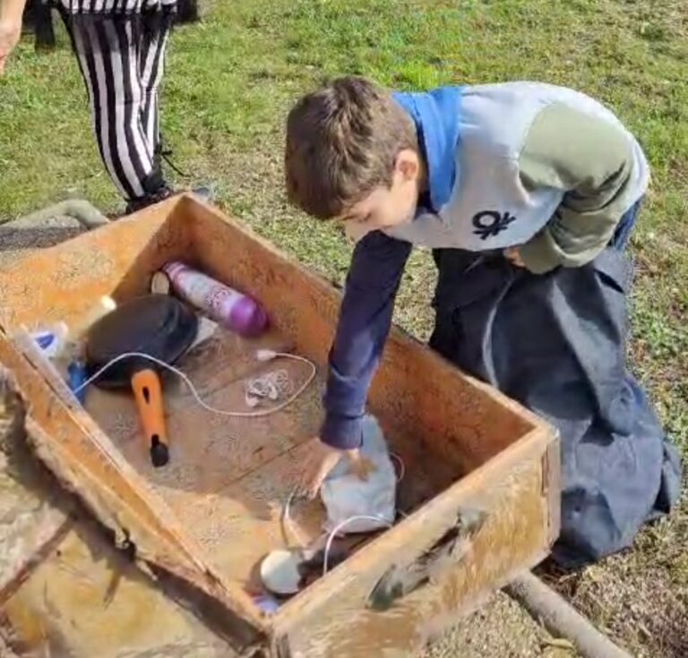 medioambiente3 768x735